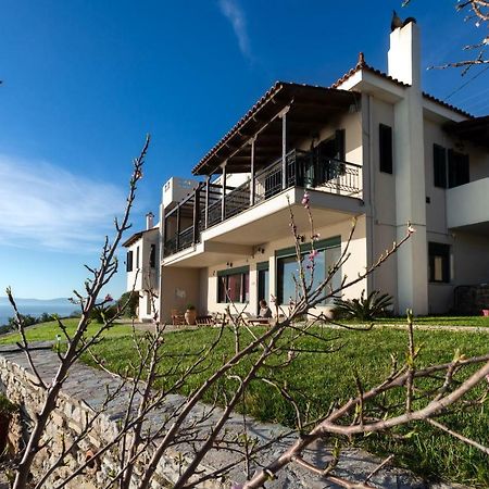 Aegean Panorama Apartments Akhladherí Exteriér fotografie