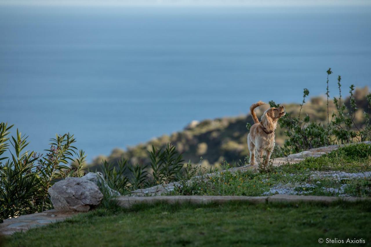 Aegean Panorama Apartments Akhladherí Exteriér fotografie